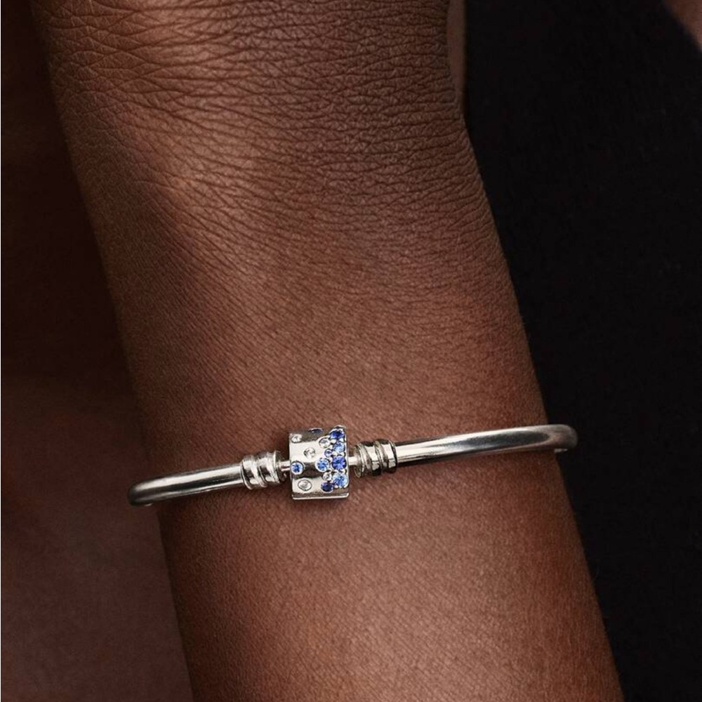 Pandora Charm Bracelet